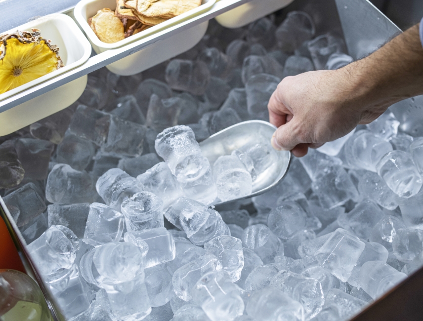 ICE MACHINES